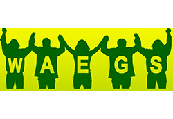 brand-logo